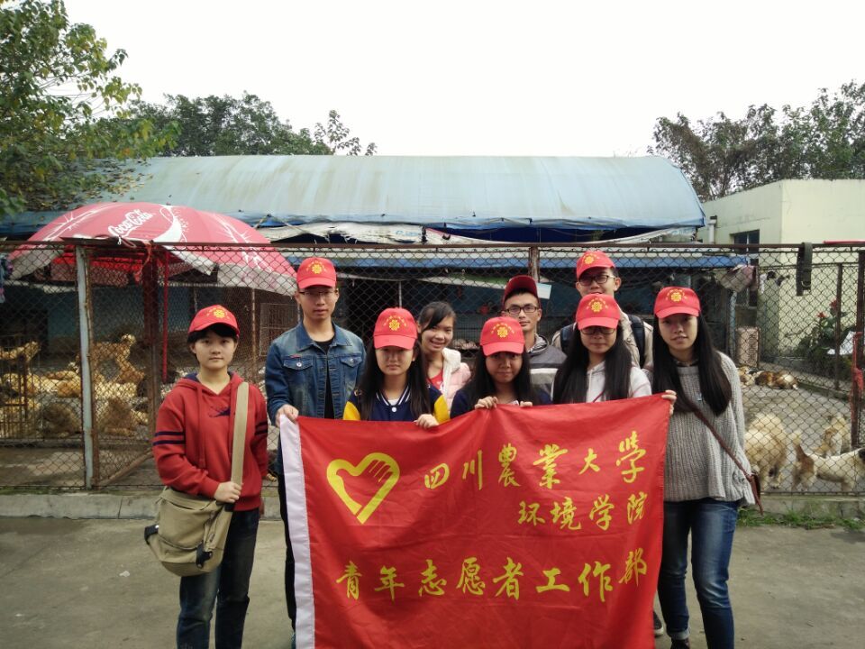 welcome欢迎光临威尼斯公司青年志愿者工作部再赴启明小动物保护中心开展志愿活动